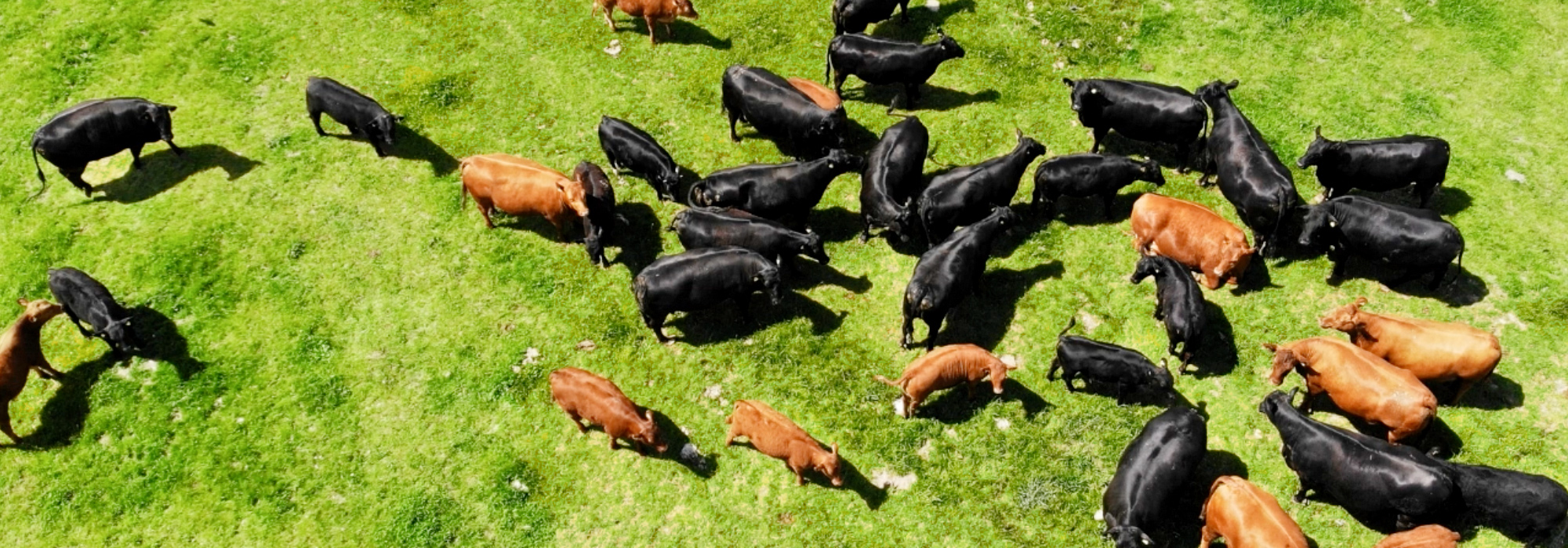 Zacherhof Puschendorf