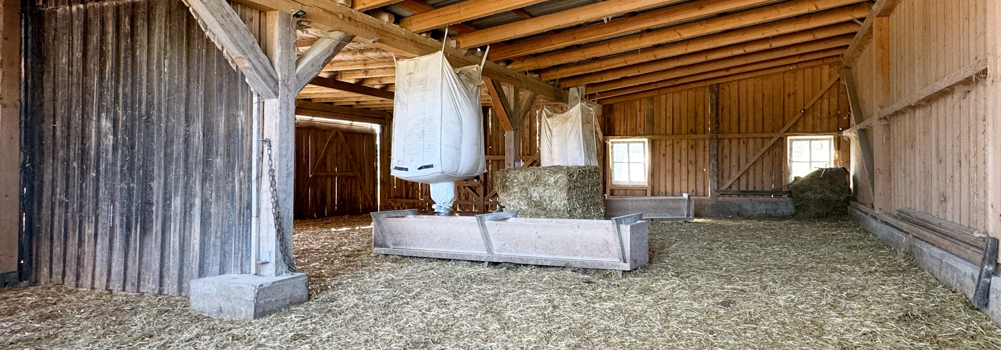 Stall Bioweidegänse