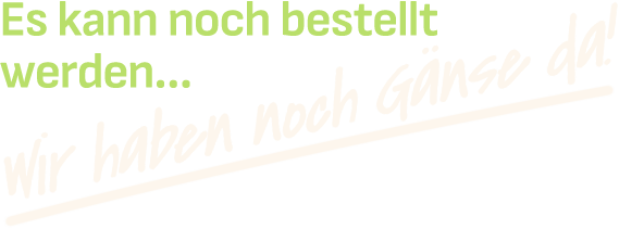 es-kann-noch-bestellt-werden-beige Es kann noch bestellt werden…